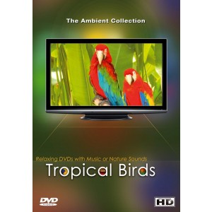DVD Oiseaux tropicaux