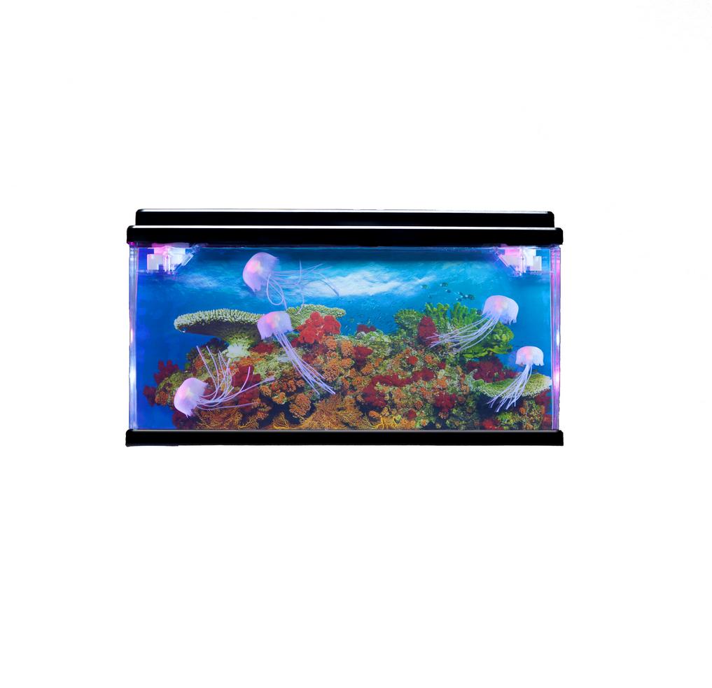 Poisson pour aquarium Éclosion Nourriture pour poissons tropicaux Bébé  poisson Arrache décortiquée