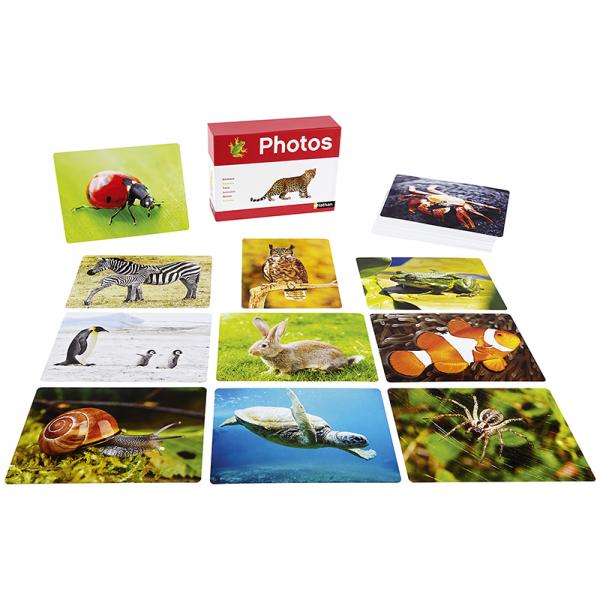 Cartes photos - les Animaux