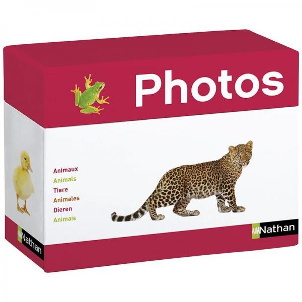 Cartes photos - les Animaux