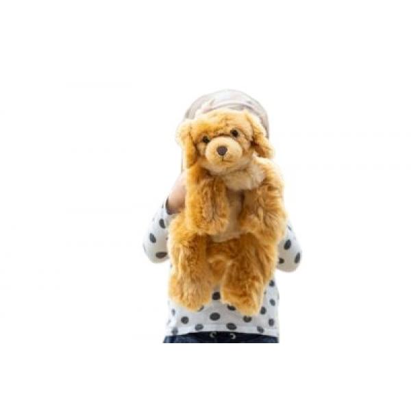 Joyk -  Brando le chien