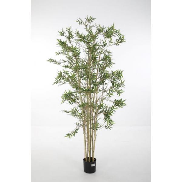 Artificial Japanese Bamboo Plant - 180 cm