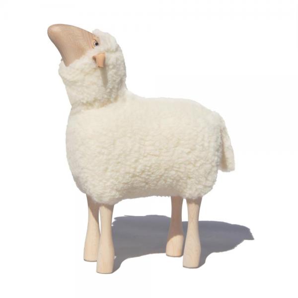 Le petit agneau avec fourrure (aux poils courts) qui regarde en haut -  50 cm - blanc