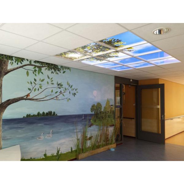 Panneau de plafond LED 120 x120 cm