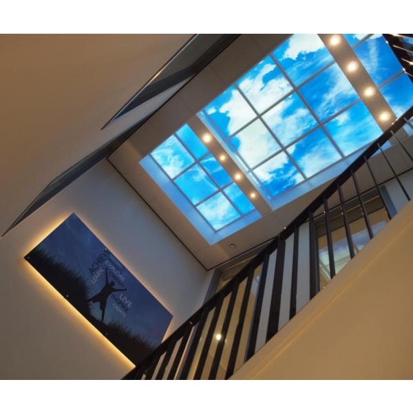 Panneau de plafond LED - 60 x120 cm