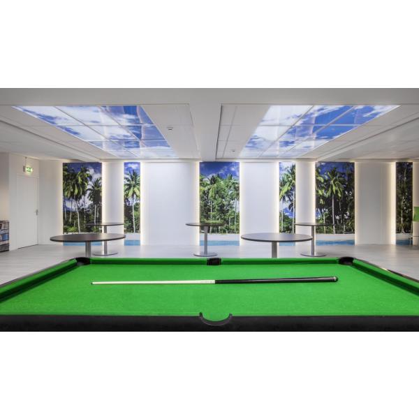 Panneaux de plafond LED 60x60 cm - set de 2