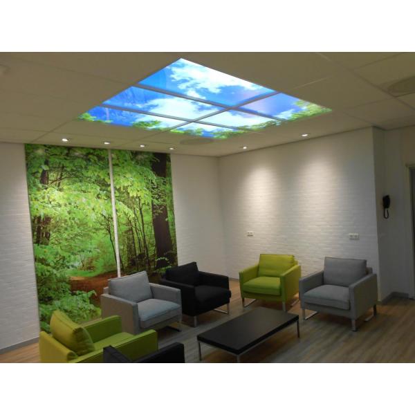Panneaux de plafond LED 60x60 cm - set de 2