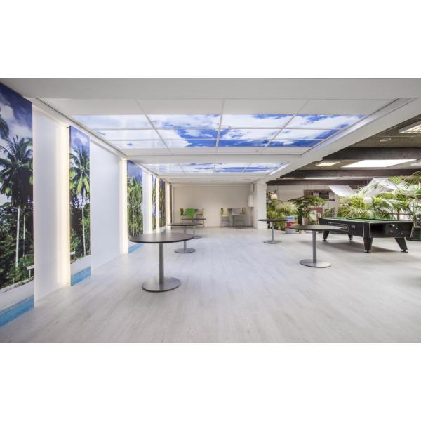 Panneaux de plafond LED 60x60 cm - set de 2