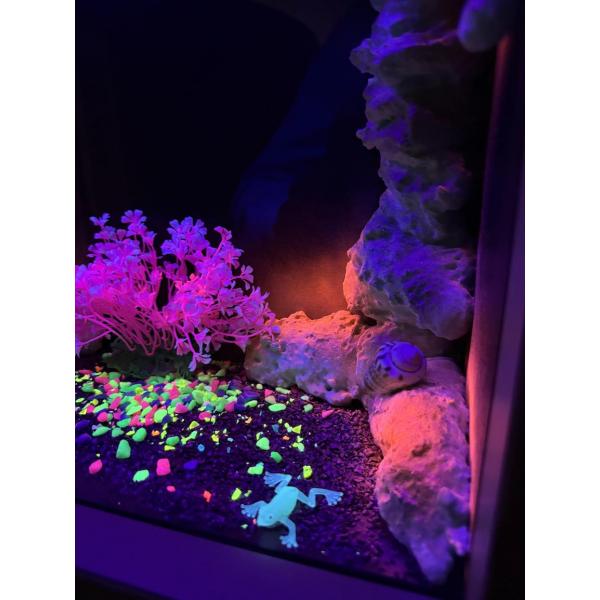 Nenko aquarium Ultra Violet