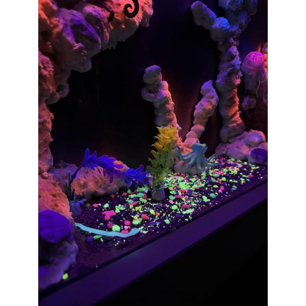 Nenko aquarium Ultra Violet