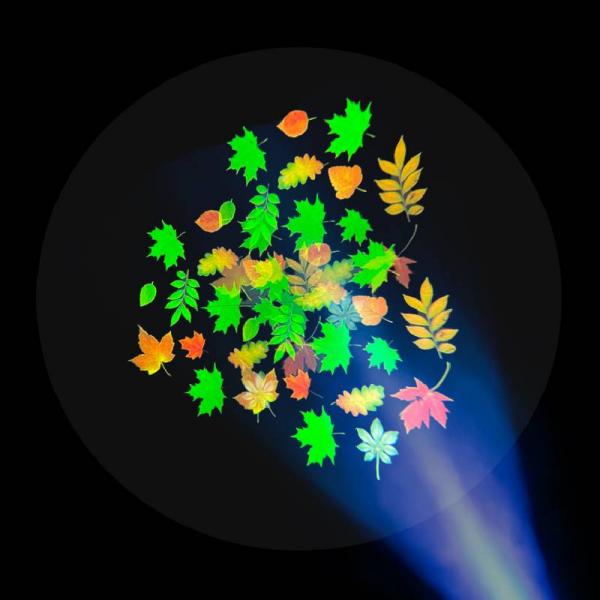 Projecteur Sensory Vista Pro