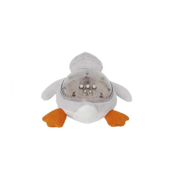 Tranquil pingouin
