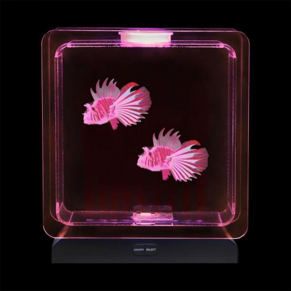Aquarium de poissons tropicaux