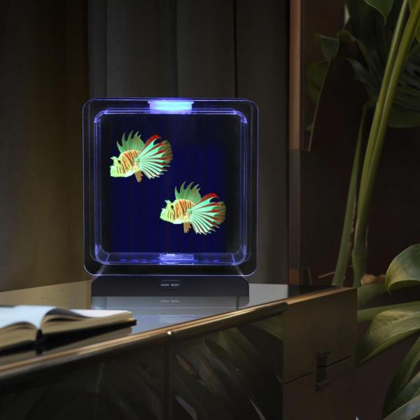 Aquarium de poissons tropicaux
