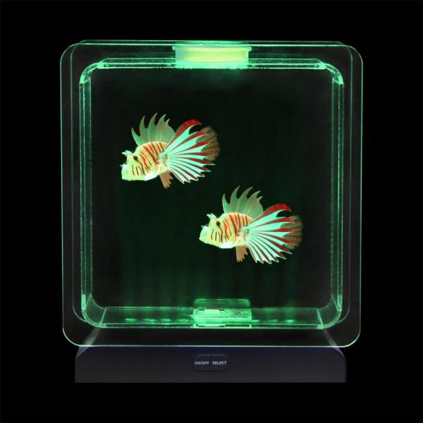 Aquarium de poissons tropicaux