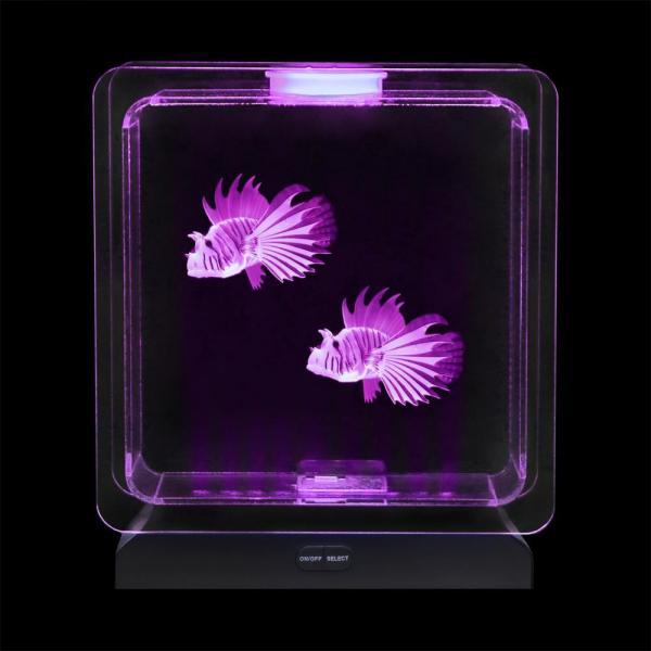 Aquarium de poissons tropicaux