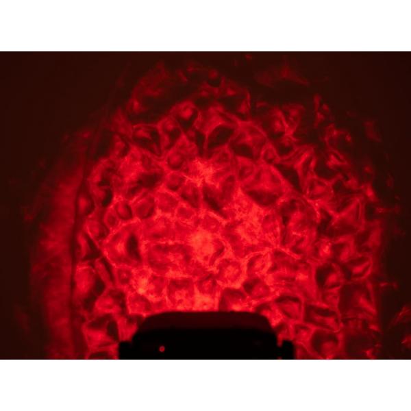 Projecteur Fontaine