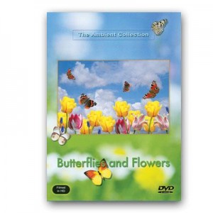 DVD Les papillons et les fleurs