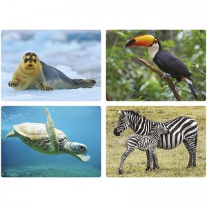 Cartes photos - les Animaux