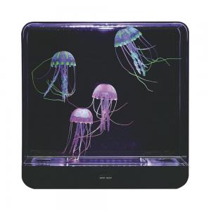 Grand aquarium méduses - carré