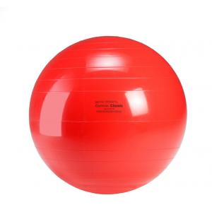 Gymnic - Ballon de réeducation 55 cm rouge