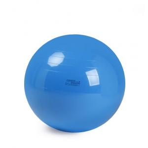 Gymnic - Ballon de réeducation 95 cm bleu
