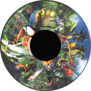 Disque magnétique - Oiseaux tropicaux