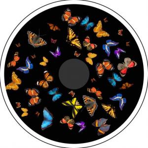 Disque à effet magnétique - Papillons 2