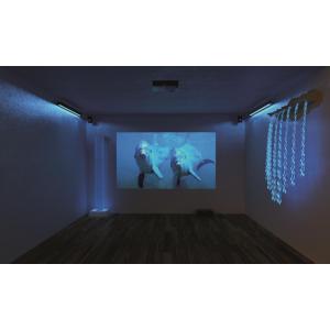 Nenko Interactive - Système Sensoriel Sense - version 2.0