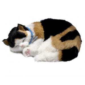 Perfect petzzz - Chat Calico